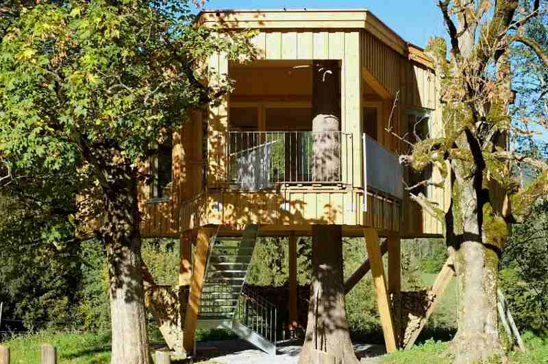 Baumhaushotels in Österreich: das Baumhaus Goldegg ermöglicht Probewohnen im energieautarkten Stelzenhaus (Außenansicht)