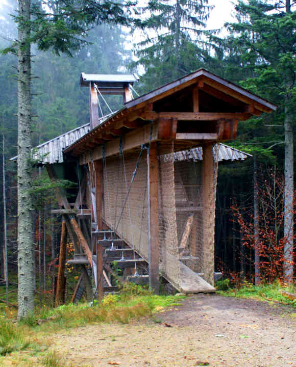 Das Baumhaus im Wildniscamp am Falkenstein gehört zu den abenteuerlichsten Baumhaus-Quartieren in Bayern
