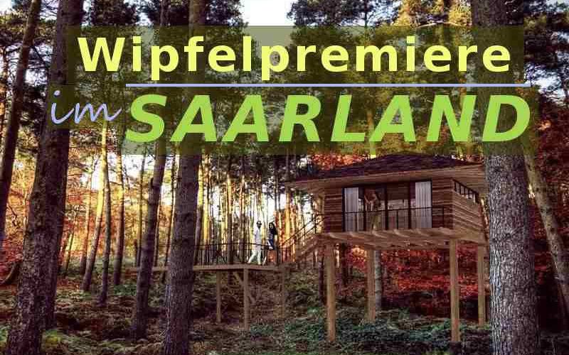 Visualisierung des geplanten Baumhaushotels im Saarland mit dem Titel 'Wipfelpremiere an der Saar'