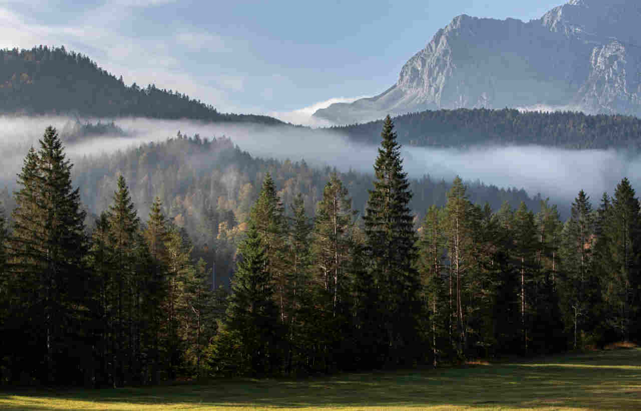 Hintergrundbild mit Bergwald und Gipfelkette im Elmauer Tal bei Mittenwald