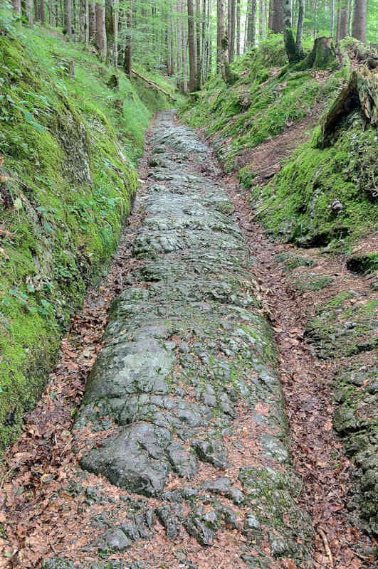 Steinerne Reste der antiken Römerstraße Via Raetia mit Spuren von Wagenrädern finden sich noch im Wald neben der Mautstraße ins Elmauer Tal